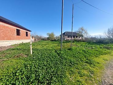 celilabad: Tikinti, Kupça (Çıxarış), Bələdiyyə — 1