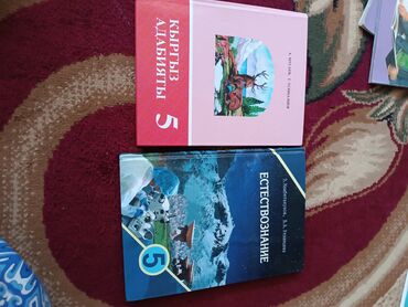 обувь лолита: Книжки все по 100сом,рабочая тетрадь по 50 сом
