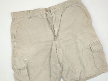 Trousers: Shorts for men, XL (EU 42), condition - Fair