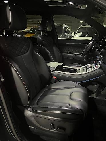 palisade: Hyundai Palisade: 2020 г., Кроссовер — 8