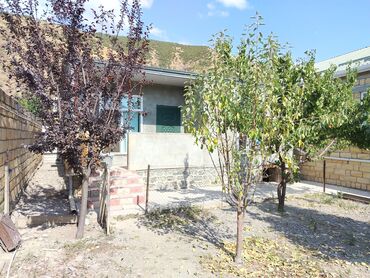 Həyət evləri və villaların satışı: Bağlı həyəti və meyvə ağacları olan fərdi yaşayış evi. - Həyətyanı — 4