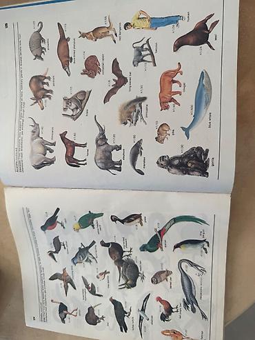 Книги и журналы: Məhsul: Biologiya üzrə illüstrasiyalı dərslik/kitab Xüsusiyyətlər: - — 7