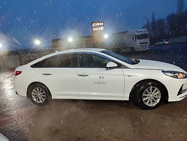 Hyundai: Hyundai Sonata: 2019 г., Автомат, Газ, Седан — 13