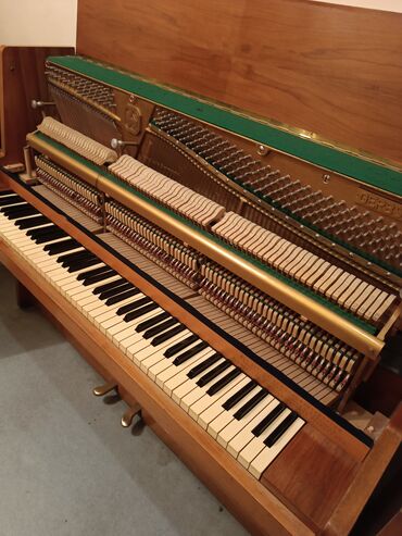 Çaydanlar: Piano. Gerbstadt