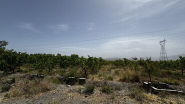 Продажа участков: 400 соток, Для сельского хозяйства, Генеральная доверенность, Договор купли-продажи, Тех паспорт — 8