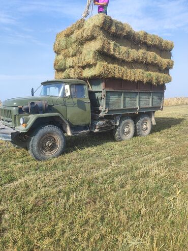 ЗИЛ: ЗИЛ : | 1987 г — 9