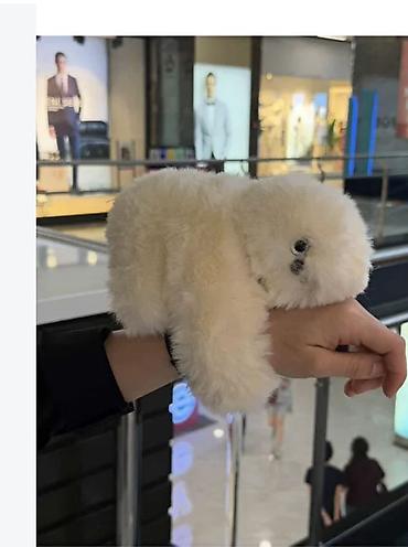uşaq oyuncaqlar: Mirumi Ağıllı Peluş Robot Oyuncaq - Yumşaq, yüksək sıxlıqlı peluş — 3