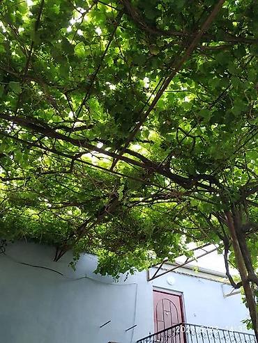 Uzunmüddətli kirayə evlər: 134 kv. m, 3 otaqlı, Kombi, Qaz, İşıq — 15