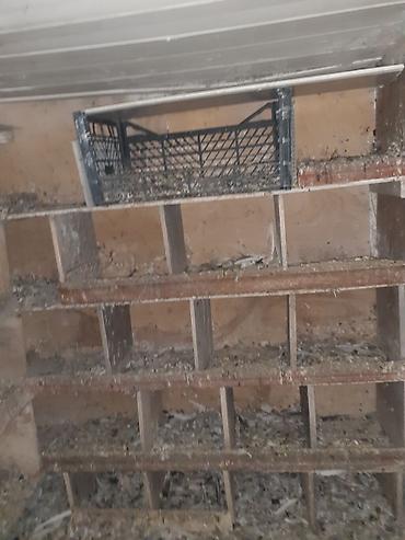 yuvası: Quş yuvaları və kiçik quşxana - Material: taxta karkas, arakəsməli — 6