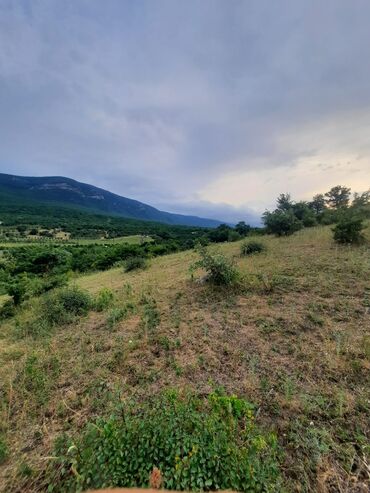 Torpaq sahələrinin satışı: 33 sot, Tikinti, Barter mümkündür, Kupça (Çıxarış) -da lalafo.az — 14 Torpaq sahələrinin satışı: 33 sot, Tikinti, Barter mümkündür, Kupça (Çıxarış) — 14