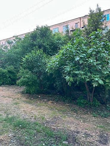 baki bina evi: Xaçmaz, 3 otaqlı, Köhnə tikili, 75 kv. m — 9