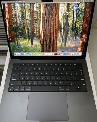 аккумуляторы для ибп prologix: Ультрабук, Apple, 16 ГБ ОЗУ, Apple M4, 14.3 ", Б/у, Для несложных задач, память SSD