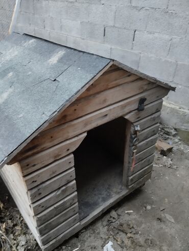 будка собаки: Дом для собак сделан из сосны