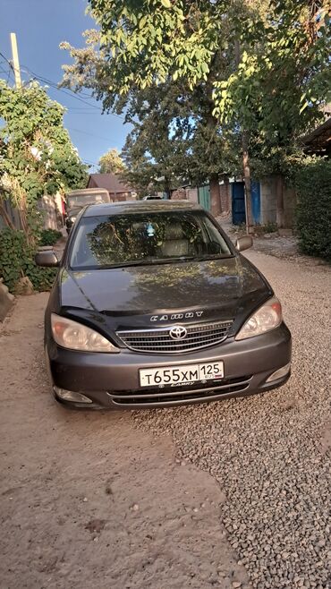 тойота камри сороковка: Toyota Camry: 2001 г., 2.4 л, Автомат, Газ, Седан