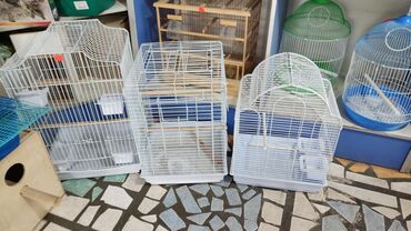 Зоотовары: Вольеры для птиц! at lalafo.kg — 5 Зоотовары: Вольеры для птиц! — 5