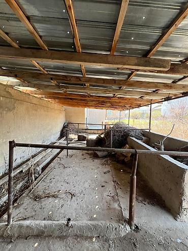 Продажа коттеджей и домов: Продаётся дом в центре села Кунтуу. Общая площадь 65м2. Участок 18 — 12