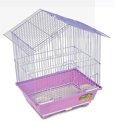 Digər quşlar: ✨ Hazır sarı e lquşlarıdanişdirmaq tam rahat olurr satışda! 🐦✨ Parlaq — 13