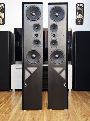 Zvučnici i stereo sistemi: T+A Criterion T 160 Vifa, D'Appolito Transmission Line Pravi High End — 1