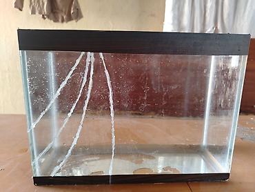 Dördbucaq akvarium, Boş, 2 l, Ünvandan götürmə