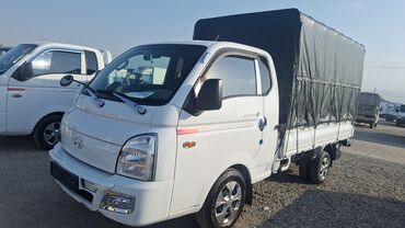 багаж на портер: Легкий грузовик, Hyundai, Стандарт, Б/у
