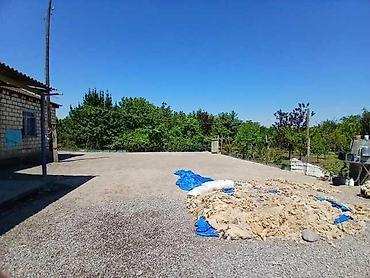 blue mall kiraye ev: 3 otaqlı, 102 kv. m, Kredit yoxdur, Orta təmir — 7