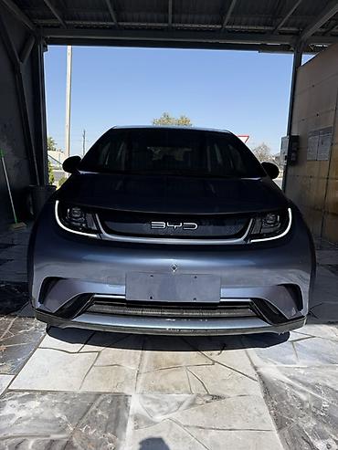 черепашка диска: BYD Dolphin: 2025 г., Электромобиль, Хэтчбэк — 1