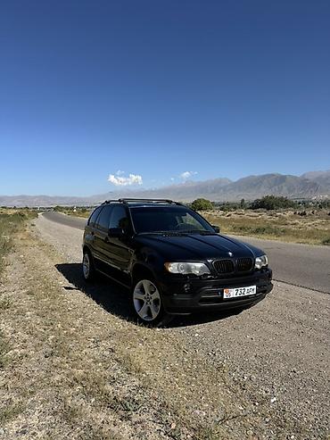 бу чехол: BMW X5: 2002 г., 4.4 л, Автомат, Бензин, Кроссовер — 8