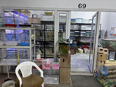 100 l akvarium: Akvaryum və ev heyvanları üçün ixtisaslaşmış dükan – bölmə 69 Təklif — 2