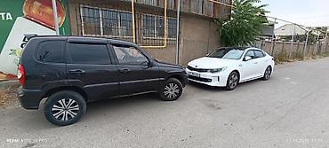 арзан нива: Chevrolet Niva: 2006 г., 1.7 л, Механика, Бензин, Внедорожник — 4