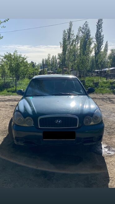 хундай экс: Hyundai Sonata: 2003 г., 2 л, Механика, Газ, Седан