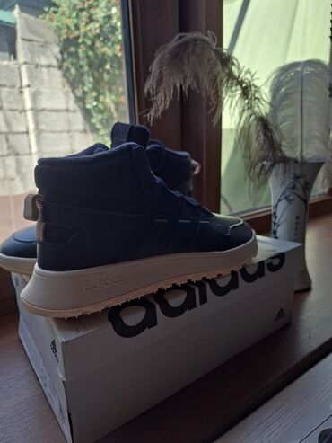 зимняя обувь лора пиано: Мужские кроссовки, 40, Adidas, Новый, цвет - Синий, Самовывоз