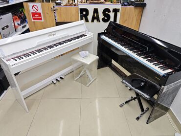 fizika inkişaf dinamikası: Piano, Rəqəmsal, Yeni, Ünvandan götürmə