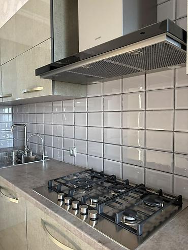 binar: 4 комнаты, 130 м², Ата-Тюрк парк Элитка, 10 этаж, Евроремонт — 4