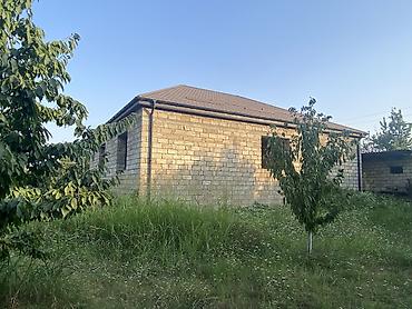 Digər tikinti materialları: 20 sot torpaq sahəsi 25 gilas agacı 11 göyçə sortu alça agacı 4 gavalı -da lalafo.az — 15 Digər tikinti materialları: 20 sot torpaq sahəsi 25 gilas agacı 11 göyçə sortu alça agacı 4 gavalı — 15