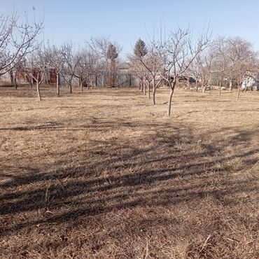 Продажа участков: 25 соток — 17