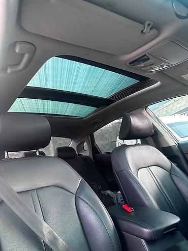 к5 хищник цена бишкек: Kia K5: 2019 г., 2 л, Автомат, Газ, Седан — 6