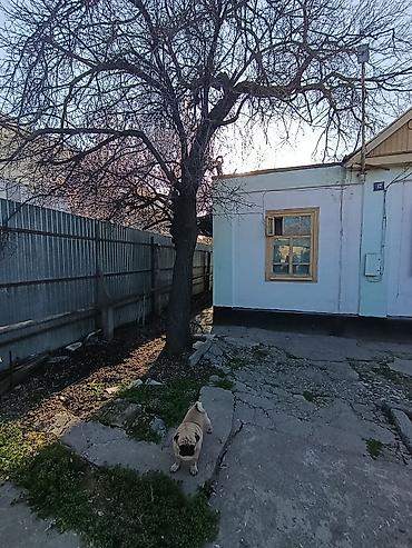 Продажа коттеджей и домов: Продаю частный дом,по ул.Абдымомунова,район Рынка Мадина,Аламединский — 9