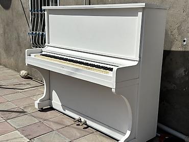 ağ piano: Ağ rəngli akustik upright pianino - Klassik vertikal korpus, sadə və — 6