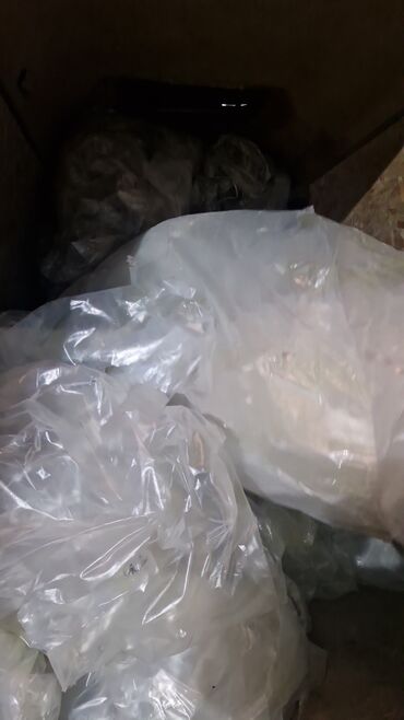 Прием пластика: Прием пластика, 2 - HDPE (ПВД) — 7