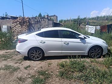 багажник авто: Hyundai Elantra: 2019 г., 1.6 л, Автомат, Бензин, Седан — 1