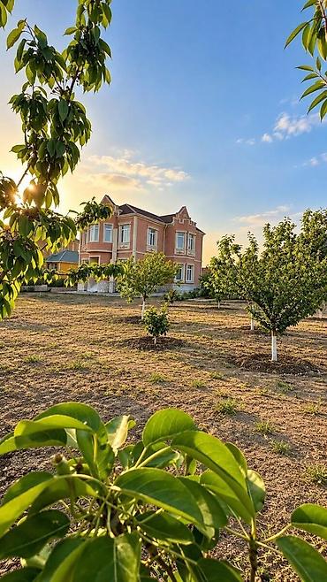 sarayda ev: Saray 6 otaqlı, 250 kv. m, Kredit yoxdur, Yeni təmirli — 6