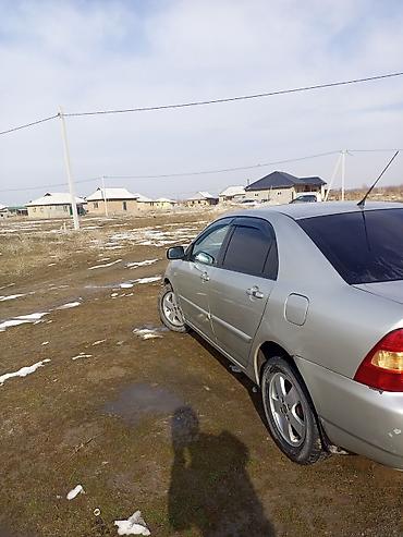 Toyota: Toyota Corolla: 2005 г., 1.6 л, Механика, Бензин, Седан — 9