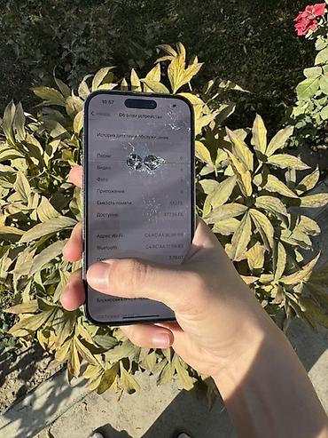 Apple iPhone: IPhone 14 Pro, Серебристый, 100 % — 10