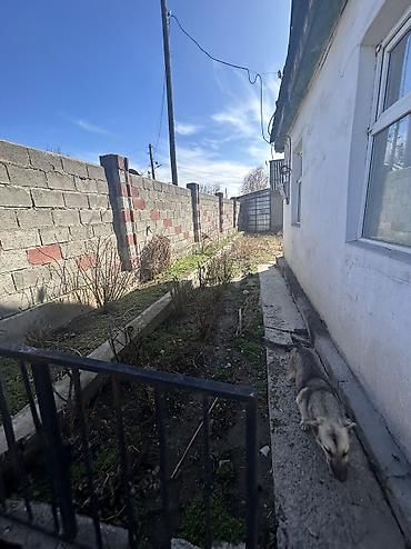 Продажа коттеджей и домов: Срочно продается частный дом Дом старый( но можно жить) Размер — 11