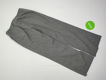 jan specter: Ann Taylor, Spodnie materiałowe damskie, rozmiar XS — 3