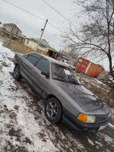 Audi: Audi 100: 1989 г., 2.2 л, Механика, Бензин, Седан