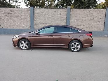 бмв 34 бампер: Hyundai Sonata: 2017 г., 2 л, Автомат, Газ, Седан — 1