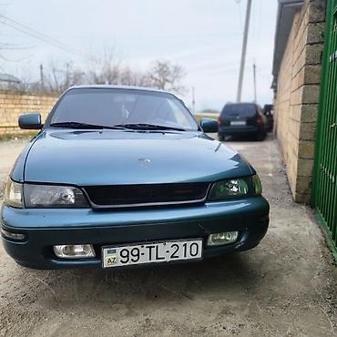 Toyota: Toyota Corolla sedan - Kuzov: 4 qapılı sedan, mavi rəng - Mühərrik — 1