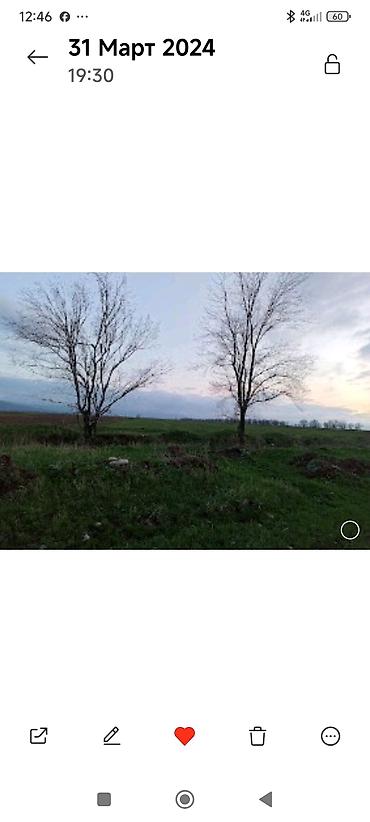 Аренда участков: 3200 соток Для сельского хозяйства — 8