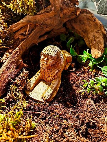 Зоотовары: 🌿 Украшения и декорации для аквариумов и террариумов 🌿 Продаю — 4